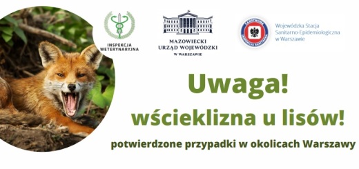 Plakat - wścieklizna