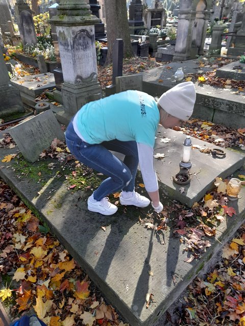 Sprzątanie Powązek