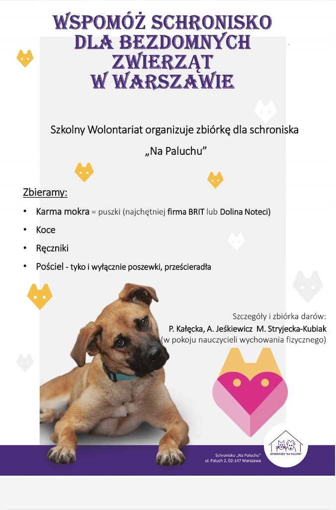 schronisko