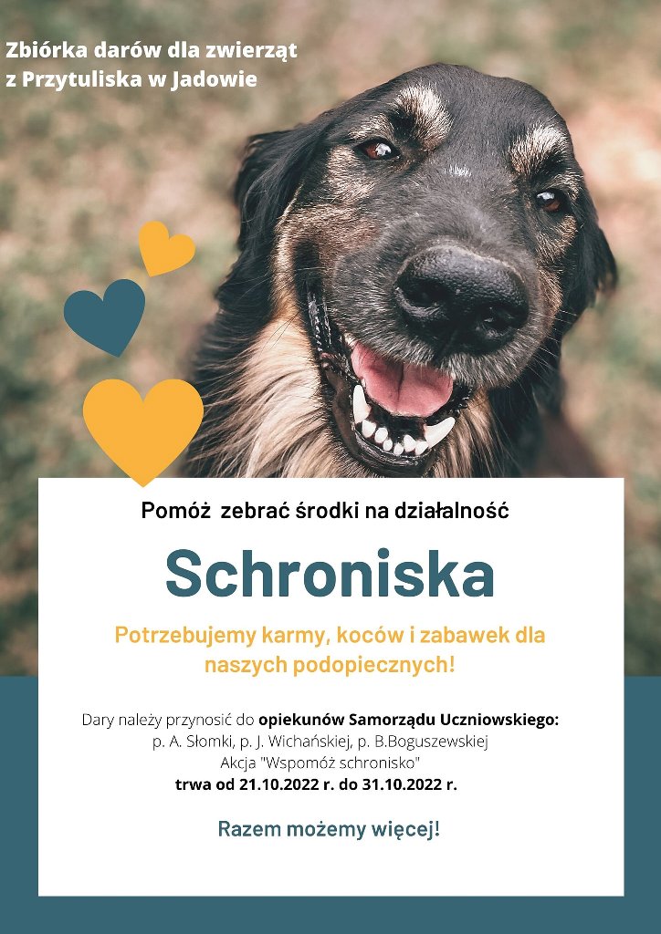 schronisko